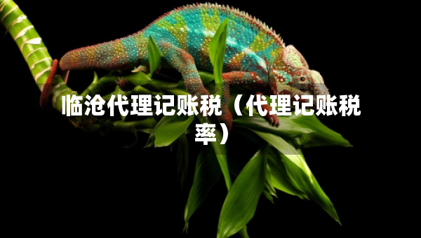臨滄代理記賬稅（代理記賬稅率）