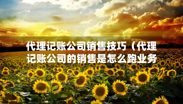 代理記賬公司銷售技巧（代理記賬公司的銷售是怎么跑業(yè)務）