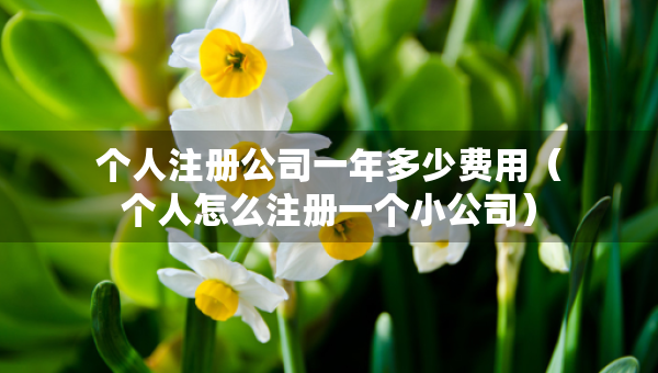 個(gè)人注冊(cè)公司一年多少費(fèi)用（個(gè)人怎么注冊(cè)一個(gè)小公司）