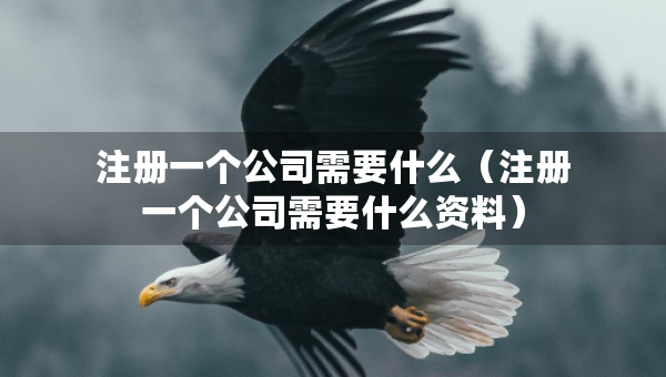 注冊(cè)一個(gè)公司需要什么（注冊(cè)一個(gè)公司需要什么資料）