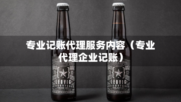 專業(yè)記賬代理服務內容（專業(yè)代理企業(yè)記賬）