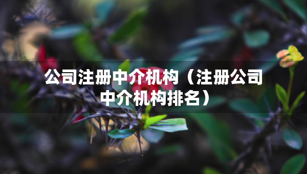 公司注冊(cè)中介機(jī)構(gòu)（注冊(cè)公司中介機(jī)構(gòu)排名）