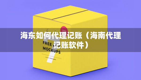 海東如何代理記賬（海南代理記賬軟件）