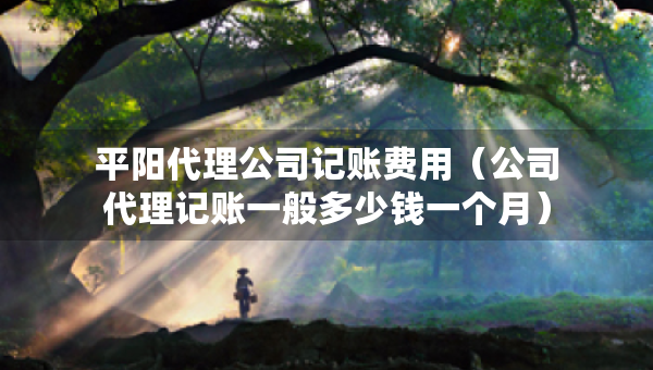 平陽代理公司記賬費用（公司代理記賬一般多少錢一個月）