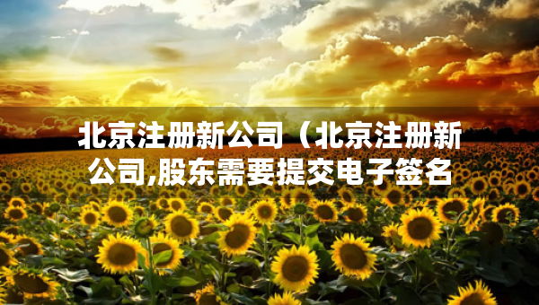 北京注冊新公司（北京注冊新公司,股東需要提交電子簽名么）