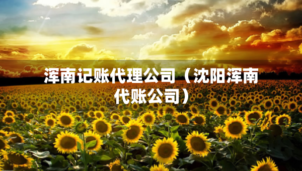 渾南記賬代理公司（沈陽渾南代賬公司）