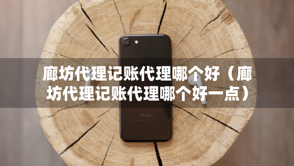 廊坊代理記賬代理哪個(gè)好（廊坊代理記賬代理哪個(gè)好一點(diǎn)）