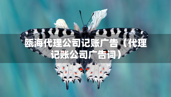 甌海代理公司記賬廣告（代理記賬公司廣告詞）