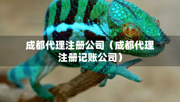 成都代理注冊公司（成都代理注冊記賬公司）