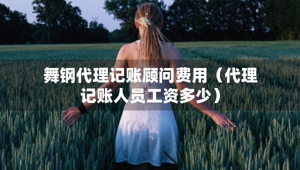 舞鋼代理記賬顧問(wèn)費(fèi)用（代理記賬人員工資多少）