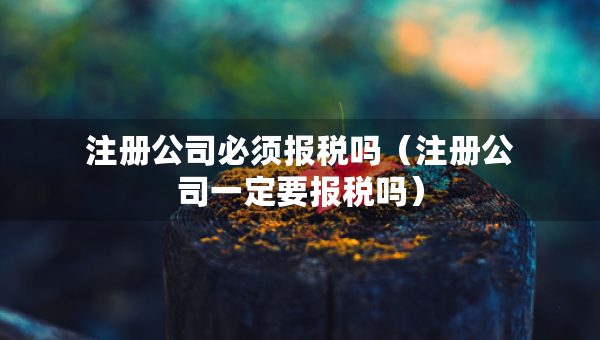 注冊公司必須報(bào)稅嗎（注冊公司一定要報(bào)稅嗎）