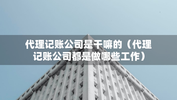 代理記賬公司是干嘛的（代理記賬公司都是做哪些工作）