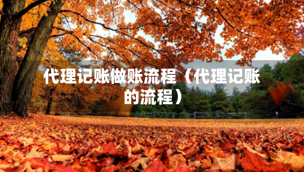 代理記賬做賬流程（代理記賬的流程）