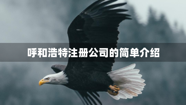 呼和浩特注冊(cè)公司的簡(jiǎn)單介紹