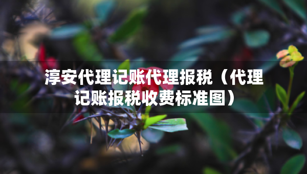 淳安代理記賬代理報(bào)稅（代理記賬報(bào)稅收費(fèi)標(biāo)準(zhǔn)圖）