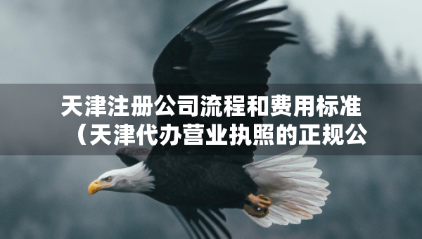 天津注冊(cè)公司流程和費(fèi)用標(biāo)準(zhǔn)（天津代辦營(yíng)業(yè)執(zhí)照的正規(guī)公司）