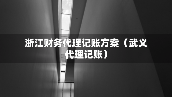 浙江財務(wù)代理記賬方案（武義代理記賬）