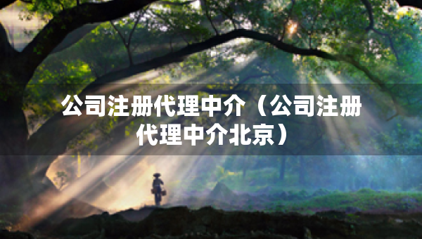公司注冊(cè)代理中介（公司注冊(cè)代理中介北京）