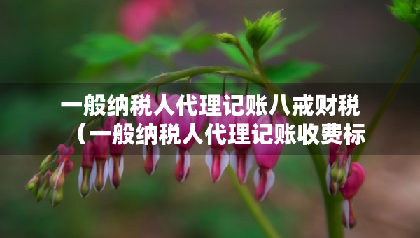 一般納稅人代理記賬八戒財(cái)稅（一般納稅人代理記賬收費(fèi)標(biāo)準(zhǔn)）