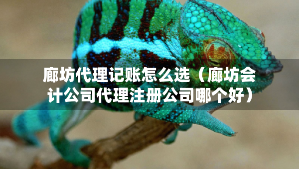 廊坊代理記賬怎么選（廊坊會計公司代理注冊公司哪個好）