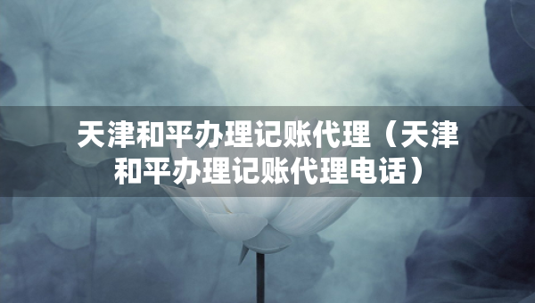 天津和平辦理記賬代理（天津和平辦理記賬代理電話）