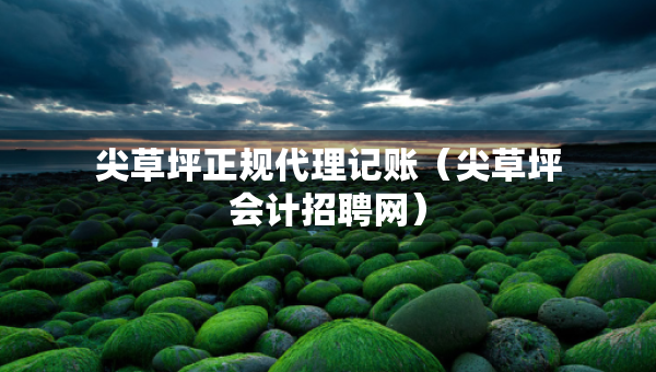 尖草坪正規(guī)代理記賬（尖草坪會(huì)計(jì)招聘網(wǎng)）