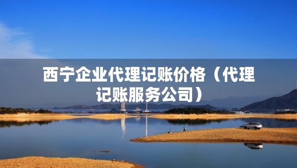 西寧企業(yè)代理記賬價格（代理記賬服務公司）