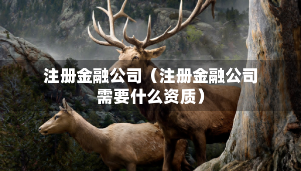 注冊金融公司（注冊金融公司需要什么資質(zhì)）