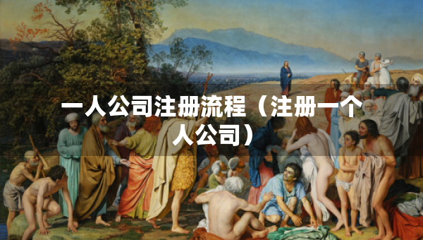 一人公司注冊流程（注冊一個人公司）