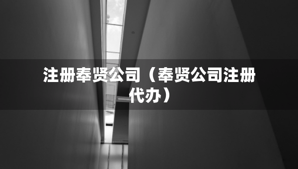 注冊奉賢公司（奉賢公司注冊代辦）