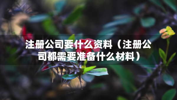 注冊(cè)公司要什么資料（注冊(cè)公司都需要準(zhǔn)備什么材料）