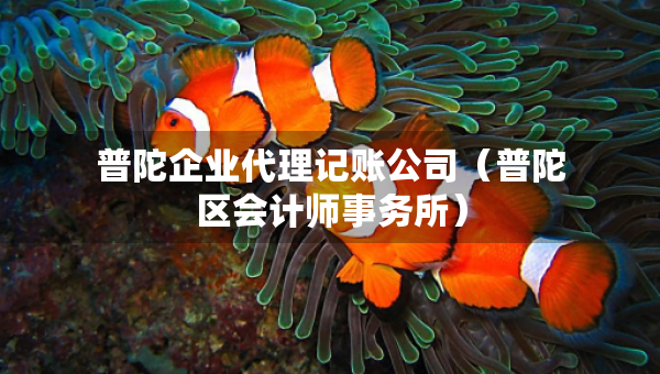 普陀企業(yè)代理記賬公司（普陀區(qū)會(huì)計(jì)師事務(wù)所）