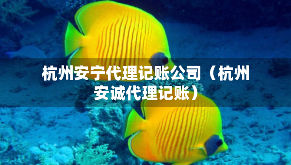 杭州安寧代理記賬公司（杭州安誠代理記賬）