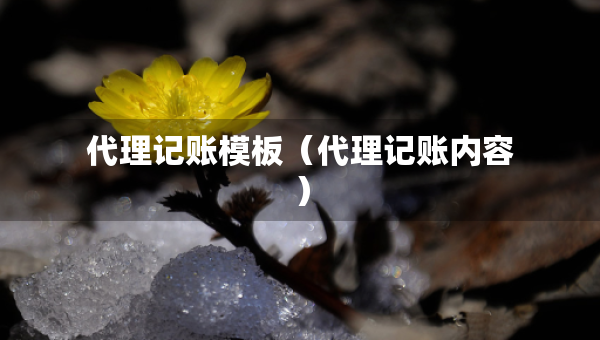 代理記賬模板（代理記賬內(nèi)容）