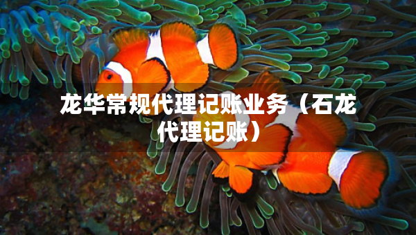 龍華常規(guī)代理記賬業(yè)務(wù)（石龍代理記賬）