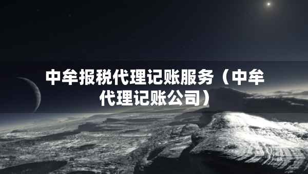 中牟報(bào)稅代理記賬服務(wù)（中牟代理記賬公司）