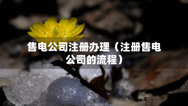 售電公司注冊(cè)辦理（注冊(cè)售電公司的流程）