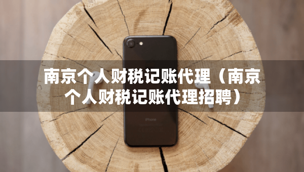 南京個人財稅記賬代理（南京個人財稅記賬代理招聘）