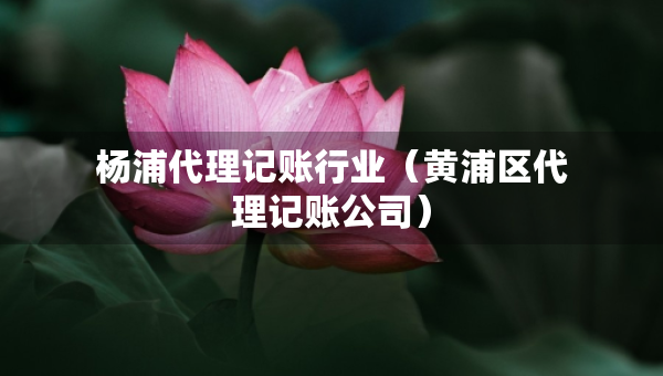 楊浦代理記賬行業(yè)（黃浦區(qū)代理記賬公司）