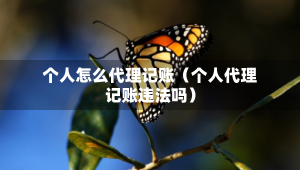 個(gè)人怎么代理記賬（個(gè)人代理記賬違法嗎）