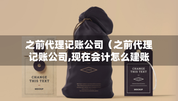 之前代理記賬公司（之前代理記賬公司,現(xiàn)在會(huì)計(jì)怎么建賬）