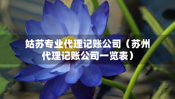 姑蘇專業(yè)代理記賬公司（蘇州代理記賬公司一覽表）
