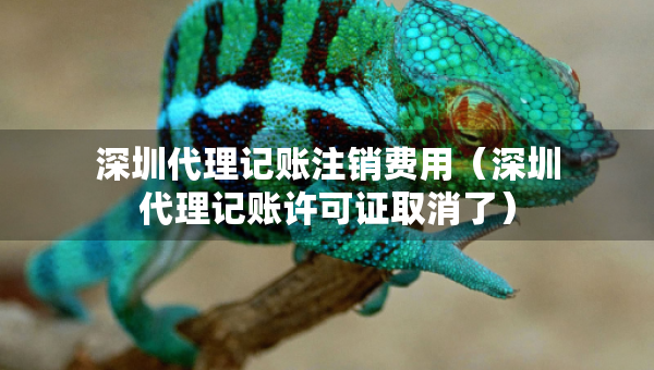 深圳代理記賬注銷費(fèi)用（深圳代理記賬許可證取消了）