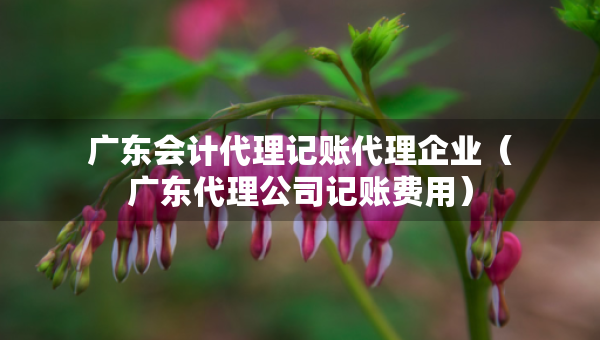 廣東會計代理記賬代理企業(yè)（廣東代理公司記賬費用）