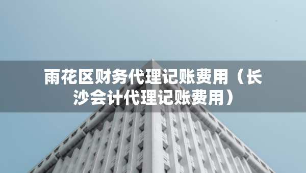 雨花區(qū)財務(wù)代理記賬費用（長沙會計代理記賬費用）