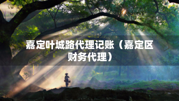 嘉定葉城路代理記賬（嘉定區(qū)財務代理）
