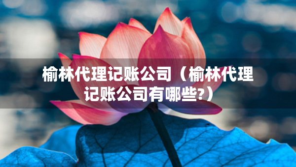 榆林代理記賬公司（榆林代理記賬公司有哪些?）