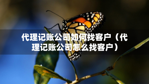代理記賬公司如何找客戶（代理記賬公司怎么找客戶）