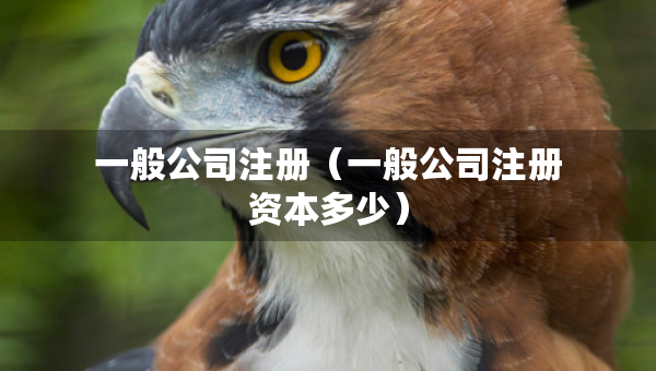 一般公司注冊（一般公司注冊資本多少）