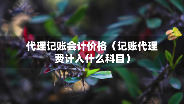 代理記賬會計價格（記賬代理費計入什么科目）